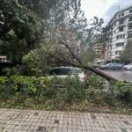 Συνάντηση Γεραπετρίτη – Φιντάν στο περιθώριο της Συνόδου του ΝΑΤΟ