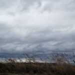 Σαλάχ: Απολαμβάνω κάθε στιγμή στη Λίβερπουλ, με απασχολεί το συμβόλαιό μου Ελίζα Καραγιώργη