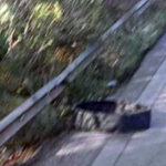 ΟΟΣΑ: Ισχυρή η ελληνική οικονομία, αλλά ο πληθωρισμός επιμένει – Οι κίνδυνοι, οι προκλήσεις και οι συστάσεις