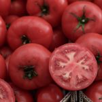 Υποχώρηση της επιχειρηματικής δραστηριότητας στην ευρωζώνη τον Δεκέμβριο, σύμφωνα με τον δείκτη PMI