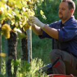 Κ. Τσουκαλάς για Αυγενάκη: Η ΝΔ έχει επιλέξει τη λογική του «ο καλός ο μύλος όλα τ’ αλέθει»