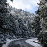 Ολυμπιακός: Το απολαυστικό ερυθρόλευκο κουίζ με αντίπαλους τους Κωστούλα και Μουζακίτη