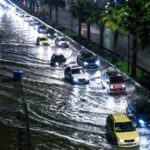 Αρκούδα πιάστηκε στα πράσα να κάνει βόλτες στο χιονοδρομικό κέντρο της Βασιλίτσας