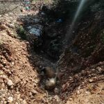 The Secret Song: Απόψε στις 23:00, η συγκίνηση και το συναίσθημα έχουν πρωταγωνιστικό ρόλο