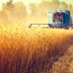 Επέτειος Γρηγορόπουλου: «Δρακόντεια» μέτρα της ΕΛ.ΑΣ. – Έκτακτες κυκλοφοριακές ρυθμίσεις