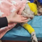 Πώς θα εξελιχθεί ο καιρός τις επόμενες ημέρες – Χάρτες του Θοδωρή Κολυδά με τις βροχές και τις καταιγίδες