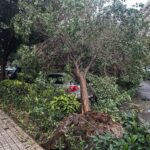 Λίβερπουλ – Μάντσεστερ Σίτι 2-0: Σκούπισε τους πρωταθλητές και συνεχίζει τον καλπασμό προς τον τίτλο