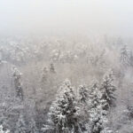 ΟΦΗ – ΑΕΚ 1-2: Πέρασε δία πυρός και σιδήρου κόντρα στους Κρητικούς των δέκα παικτών