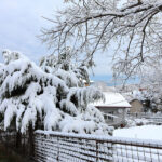 Locorotondo: Το χριστουγεννιάτικο χωριό του Άγιου Βασίλη στην Ιταλία