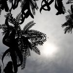 Υποχρεωτικά τα ηλεκτρονικά τιμολόγια για τις επιχειρήσεις από τα μέσα του 2025 – Οι αλλαγές που έρχονται στις συναλλαγές