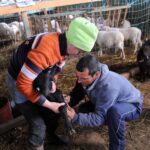 Βασίλης Κικίλιας: Σοβαρός πολιτικός ο Τασούλας, κατάφερε να συντονίσει αξιοπρεπώς το κοινοβούλιο