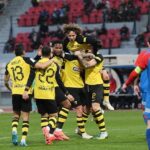 Μαύρη θάλασσα: Πάνω από 30 φώκαινες πνίγηκαν σε πετρελαιοκηλίδα