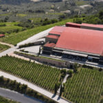 Politico: Τι σημαίνει η έξοδος του Τραμπ από τη συμφωνία του Παρισιού για το κλίμα