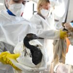 Αλμέιδα: “Με χαροποιεί να βλέπω την ομάδα να παίζει έτσι, αλλά μέχρι εκεί”