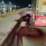 Ολυμπιακός: Αυτό είναι το πλάνο του Χοσέ Μεντιλίμπαρ για το ντέρμπι με τον Παναθηναϊκό