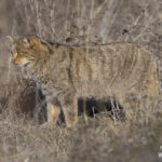 Κεφαλογιάννη: Οι Γάλλοι τουρίστες στην Ελλάδα ανήλθαν σε 2 εκατ. το 2024