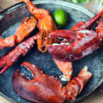 11η ΕΞΠΟΤΡΟΦ – The B2B Fine Food Exhibition