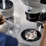 Ηλιόπουλος: Το γυαλί με τον Αλμέιδα όχι μόνο δεν ράγισε, έγινε αλεξίσφαιρο Μιχάλης Ματσίγκος