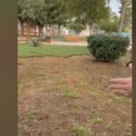 Κορυδαλλός: Έσπασαν με τούβλο παράθυρο εν κινήσει λεωφορείου- 1 τραυματίας