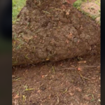 Λαμία, μεταγραφές: Ανακοίνωσε τον Σαλβαδόρ Σάντσες