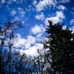 Ο Βιτόρια θριάμβευσε στο ματς με τον ΠΑΟΚ κι έκανε ξανά τον Παναθηναϊκό νικητή