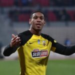 Μαύρη θάλασσα: Πάνω από 30 φώκαινες πνίγηκαν σε πετρελαιοκηλίδα