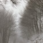 Το ΕΒΕΑ χτίζει γέφυρες συνεργασίας με Αίγυπτο και Κύπρo