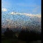 Κ. Χατζηδάκης: 4 οι τομείς προτεραιότητας στην οικονομία – Επενδύσεις, εξαγωγές, ανταγωνισμός, ανταγωνιστικότητα