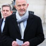 Ψαχνά Ευβοίας: Αγνωστοι έκαψαν τέσσερα κουτάβια σε κάδο σκουπιδών