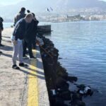 Πόσο αξίζει πια η δραχμή – Σαν σήμερα, 1η Ιανουαρίου 2002, μπαίνει στη ζωή μας το ευρώ