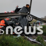 Οικογένεια σπάνιων χρυσαετών εντοπίστηκε νεκρή στην ορεινή Ξάνθη