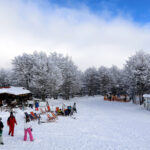 Σταθερή και υπό παρακολούθηση η κατάσταση του Αρχιεπισκόπου Αλβανίας – Το ιατρικό ανακοινωθέν