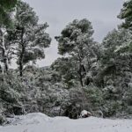 Επικό πικάρισμα του Πικέ στον Κασίγιας για την πεντάρα της Μπαρτσελόνα τον τελικό του ισπανικού Σούπερ Καπ