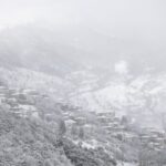 ΠΑΟΚ: Τι ισχύει με Τισουντάλι – Μπακαγιόκο και πώς επηρεάζει ο τραυματισμός του Λόβρεν