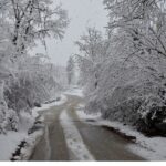 Τα βήματα που «κλειδώνουν» έκπτωση έως 20% στον ΕΝΦΙΑ – Τι πρέπει να κάνουν όσοι έχουν ασφαλίσει τα ακίνητά τους