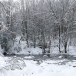 71χρονος με HMPV στη ΜΕΘ στη Θεσσαλονίκη – Καθησυχαστικός ο Άδωνις Γεωργιάδης, «έχουμε ζητήσει ανάλυση του κρούσματος»