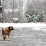 Στα 11.620 ευρώ το τεκμαρτό εισόδημα για τους ελεύθερους επαγγελματίες – Τι θα ισχύσει φέτος