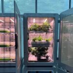 «Εκτυφλωτική» η λάμψη του χρυσού εν μέσω υψηλής οικονομικής αβεβαιότητας – Τι σημαίνει το «ράλι» της τιμής