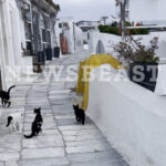 Τα METRO Cash & Carry, ο One Stop Shop προορισμός για κάθε επαγγελματία, συμμετέχουν στην έκθεση HORECA για 5η χρονιά