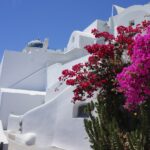 ΑΕΛ: Κοπή πίτας με την παρουσία του Νίκου Νταμπίζα