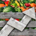 Πώς αντιδρούν tour operator και τουριστικοί φορείς στη σεισμική δραστηριότητα της Σαντορίνης