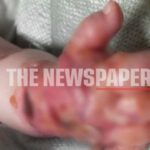 Cage-free αυγά στην ΑΒ Βασιλόπουλος: Η πρώτη ελληνική αλυσίδα σούπερ μάρκετ που καταργεί τα αυγά κλωβοστοιχίας