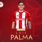 Δεκάδες άλογα κάλπασαν στην Τσιμισκή – Υπέροχο θέαμα στο πλαίσιο της έκθεσης «Zootechnia 2025»