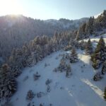 ΠΑΟΚ: Δικαίωμα εισόδου στους κατόχους διαρκείας για το ματς με τη Στεάουα