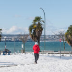 Φωτιά σε κτήριο στα Κάτω Πατήσια – Πυκνός καπνός στην περιοχή, δείτε βίντεο