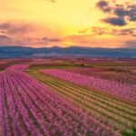 Λαμπάδα «Μετρό Θεσσαλονίκης» και σοκολάτα «Ντουμπάι»: Η πασχαλινή μόδα του 2025