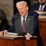 Επιστημονική ημερίδα για τη ζωφόρο του Φιλίππου Β’: Η τοιχογραφία του κυνηγιού από τις Αιγές ζωντανεύει ψηφιακά