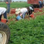 Καταργούνται «δημοφιλή» πιστοποιητικά – Τι αλλάζει για πολίτες και επιχειρήσεις με gov.gr και MyStreet