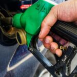 Η Nova γιορτάζει την Παγκόσμια Ημέρα Δασών παρουσιάζοντας την Ομαδική Εικαστική Έκθεση «Για ένα Δάσος»