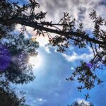 Βίντεο ντοκουμέντο: Εμπρηστής βάζει φωτιά σε μεζεδοπωλείο στα Άνω Λιόσια